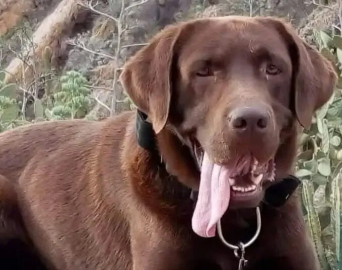 WhatsApp Image 2024-07-17 at 10.45.05