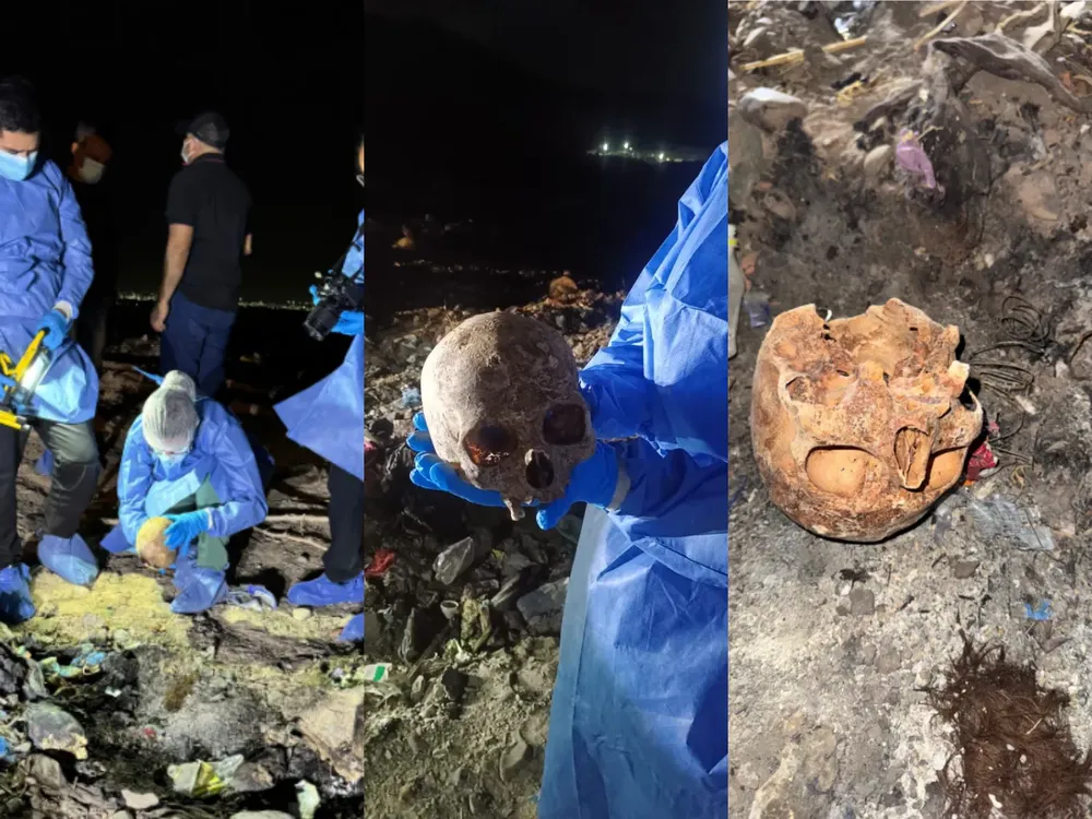 photogrid.photocollagemaker.photoeditor.squarepic_2026181081298