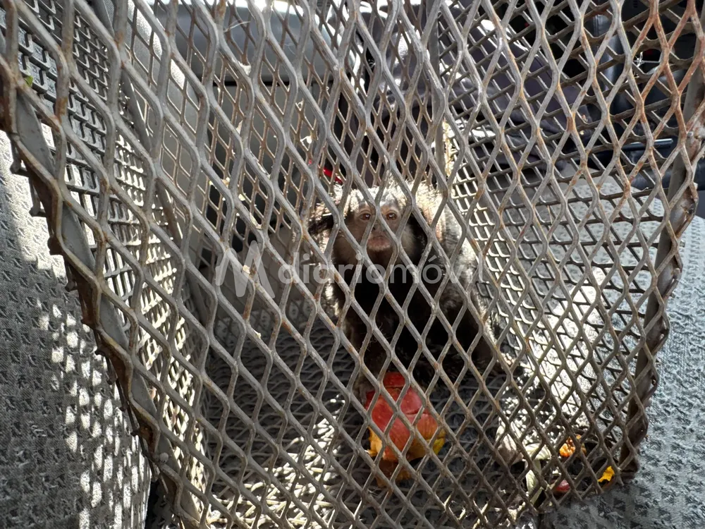 WhatsApp Image 2025-01-08 at 09.44.57