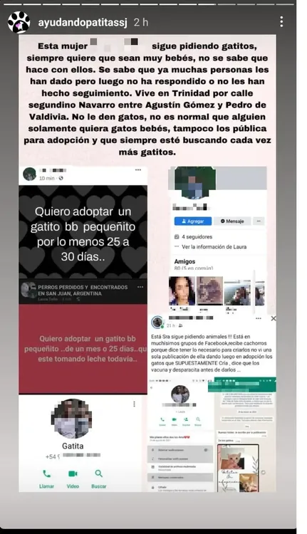 mujer sospechosa de matar gatitos