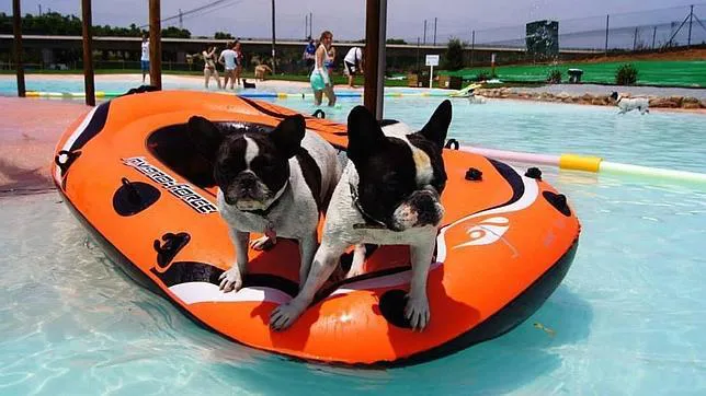 aqua-park-perros9-644x362