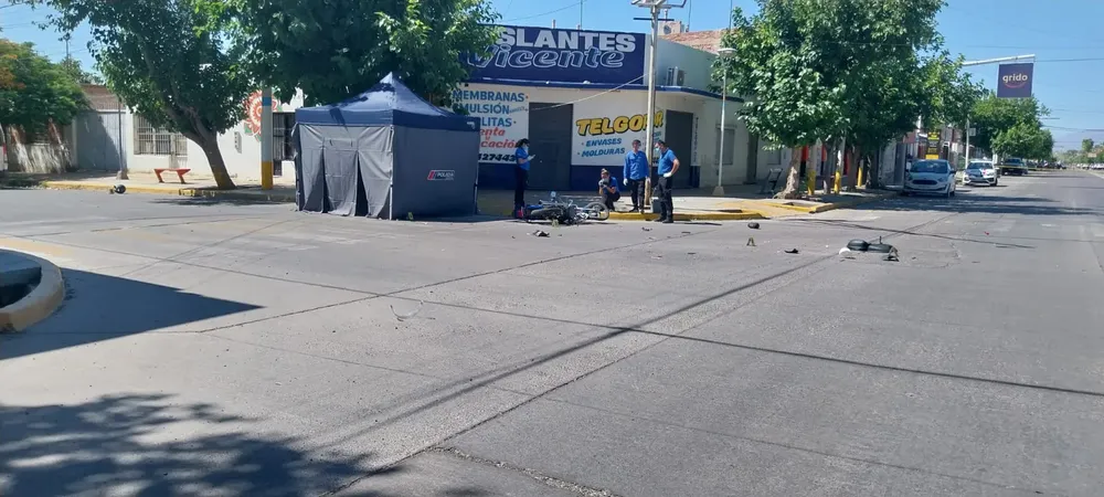 WhatsApp Image 2024-12-22 at 12.10.15