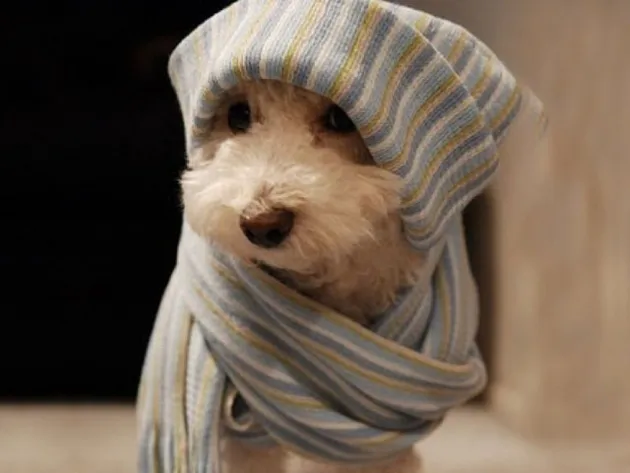 imagen_nota_1395966266-0