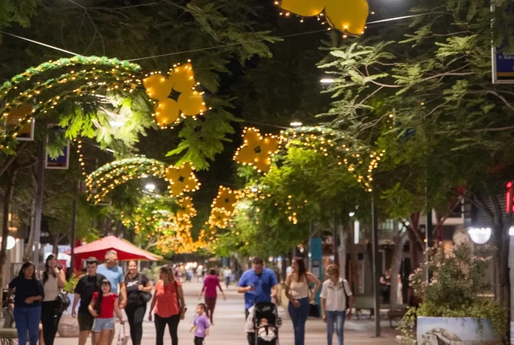 peatonal navidad