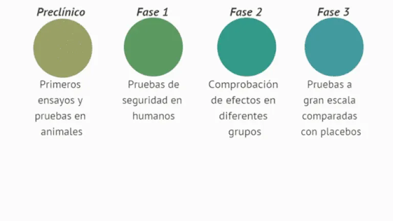 fases de vacunas