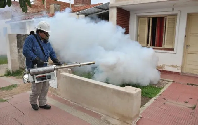 dengue