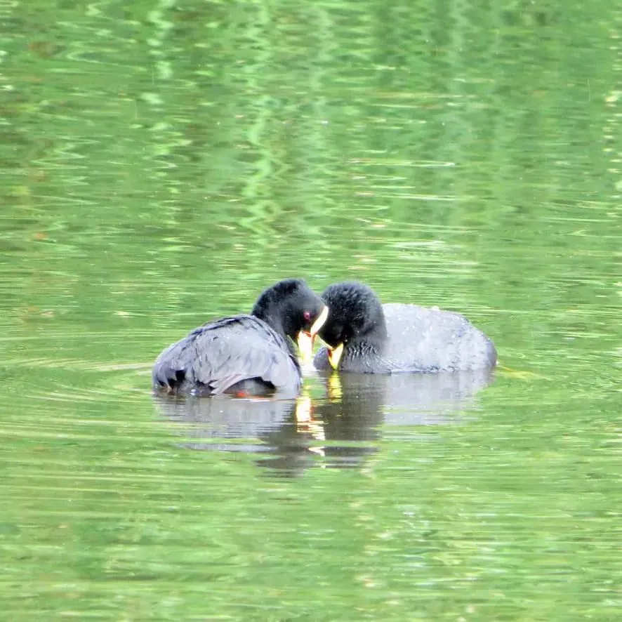 WhatsApp Image 2023-09-08 at 12.36.41 PM