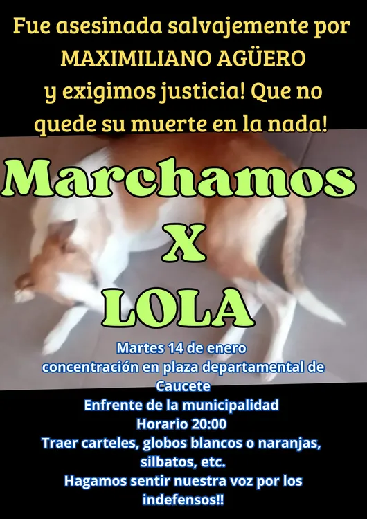 MARCHA POR LOLA