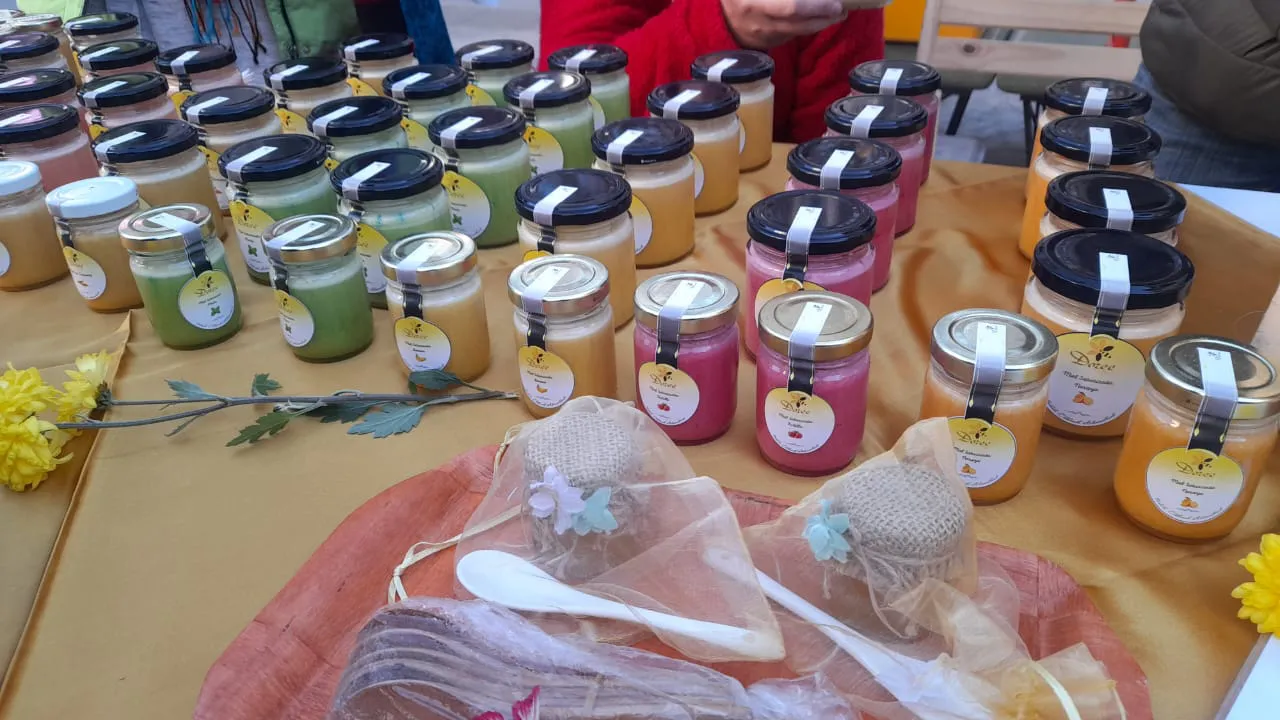 WhatsApp Image 2024-07-02 at 09.50.01