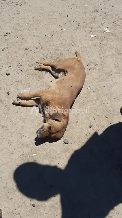 WhatsApp Image 2025-02-03 at 20.01.21 (2)