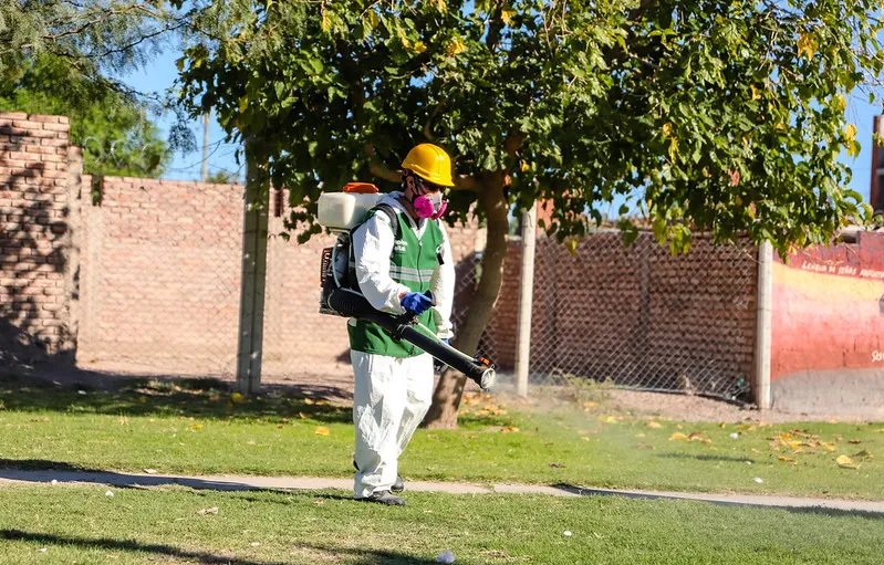 fumigacion dengue vinchuca vectores mosquitos (1)