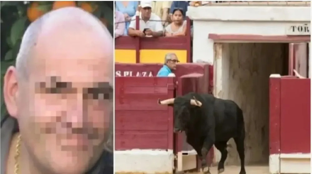 toro carnicero