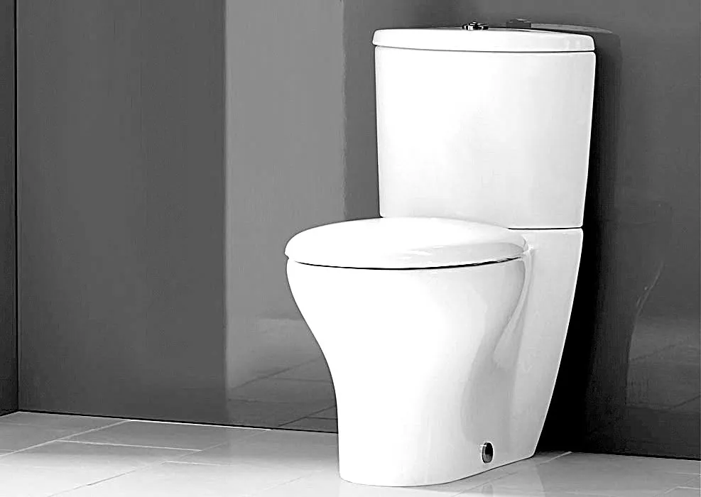 día mundialdelinodoro