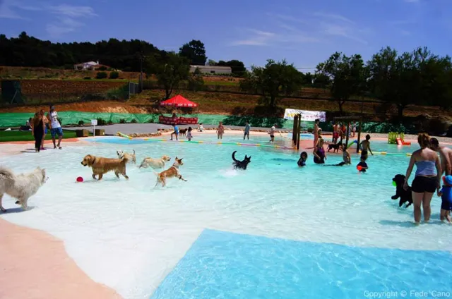 parque-acuatico-perros-1