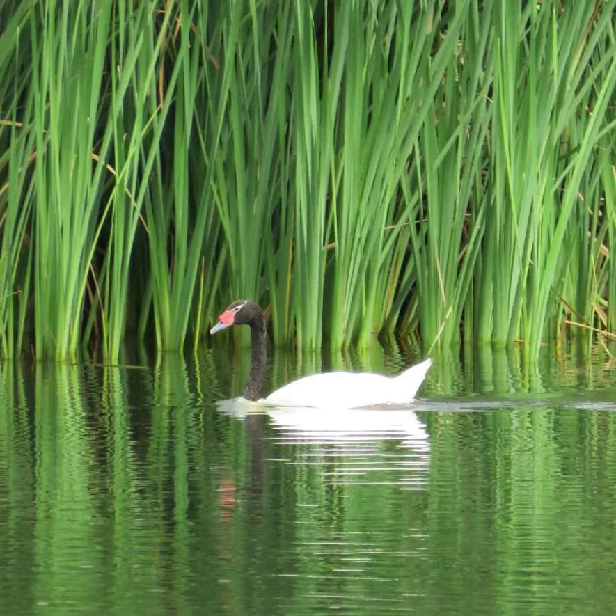 WhatsApp Image 2023-09-08 at 12.36.42 PM