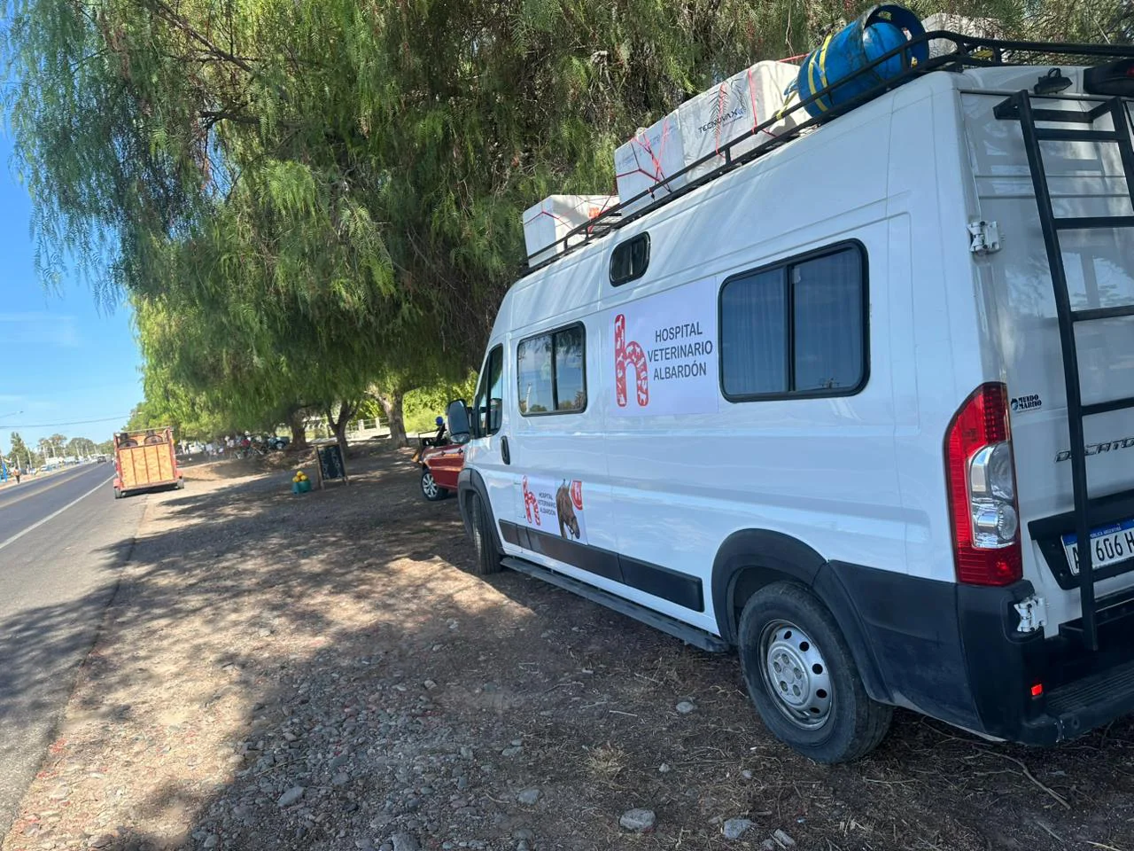 WhatsApp Image 2026-03-31 at 23.18.08