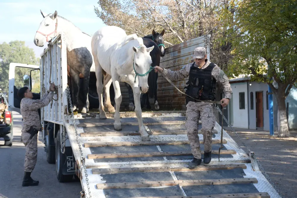 WhatsApp Image 2025-04-22 at 17.11.02 (1)