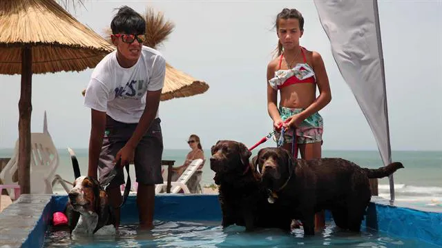 playa canina