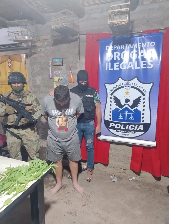 WhatsApp Image 2024-12-20 at 08.59.02