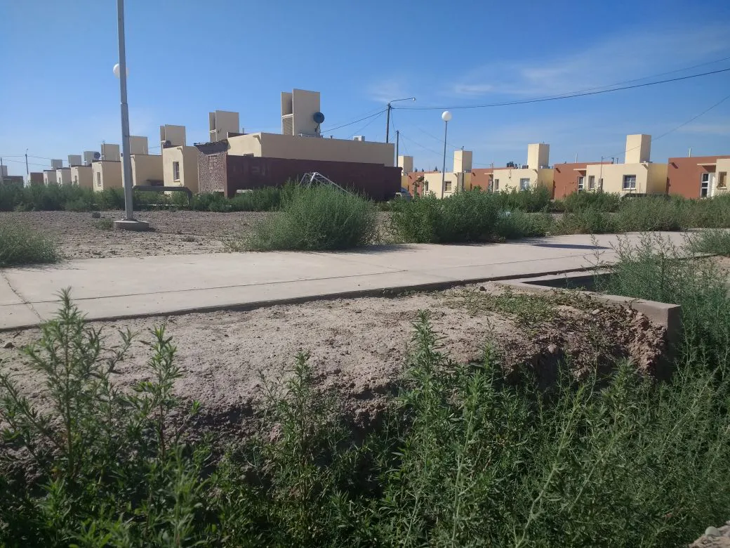 plaza valle grande enero 2018 (2)