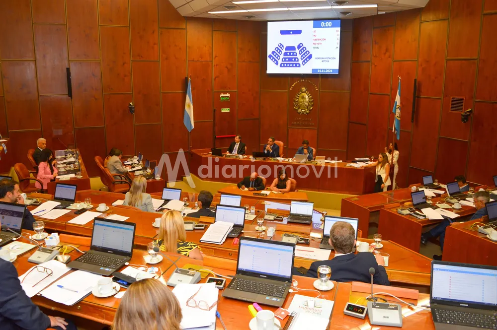 WhatsApp Image 2024-11-14 at 11.25.01