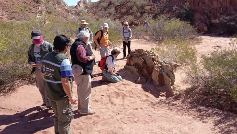 9096780c21d0c7b237279579399401ba_L