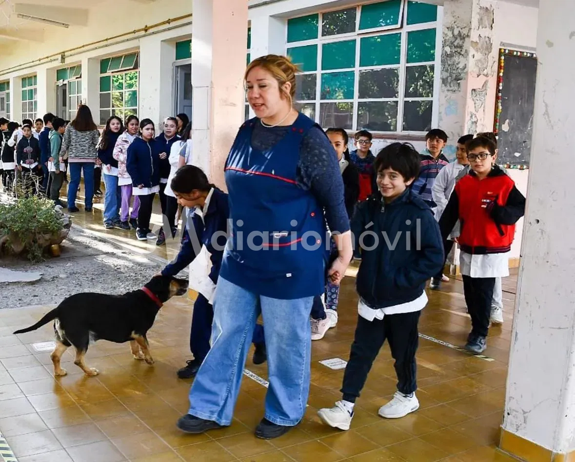 8fca15c3-fec3-45a5-9afa-d6ae96020dc0