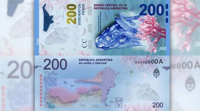 200-ballena
