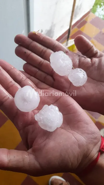 WhatsApp Image 2024-12-23 at 19.05.20