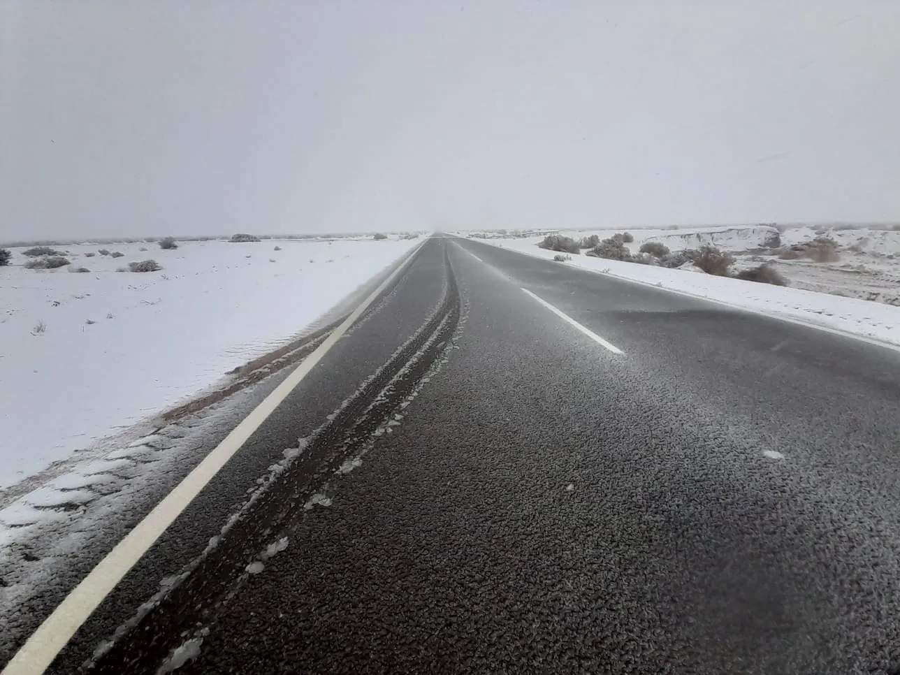 WhatsApp Image 2024-05-23 at 10.42.05 AM